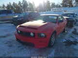 Ford Mustang V6/V6 Premium 1ZVHT80N495112169 fotografie