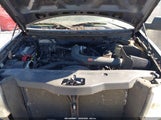 Ford F-150 Fx4/Lariat/Xl/Xlt 1FTPX14506NA35462 photo