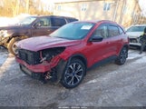 Miniaturka zdjęcia 2