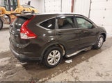 Honda Cr-V Ex-L 5J6RM4H7XEL088351 снимка