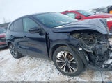 Ford Escape Se 1FMCU9G64MUA96421 снимка