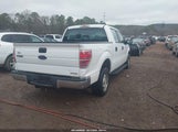 Ford F-150 Xl 1FTEW1CM1EFB62944 снимка