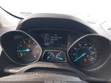 Ford Escape Se 1FMCU0G94GUB61794 снимка