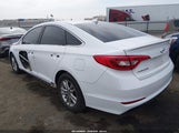 Hyundai Sonata 5NPE24AF0GH396048 снимка