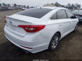 Hyundai Sonata 5NPE24AF0GH396048 снимка