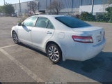 Miniaturka zdjęcia 3
