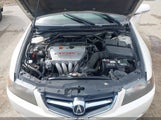 Acura Tsx JH4CL96825C002553 снимка