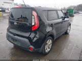 Miniaturka zdjęcia 4