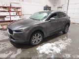 Mazda Cx-30 Premium 3MVDMBDL4MM200953 снимка
