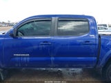 Toyota Tacoma Sr5 V6 3TMAZ5CN6PM209703 снимка