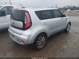 Miniaturka zdjęcia 4