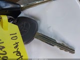 Miniaturka zdjęcia 11
