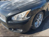 Nissan Maxima 3.5 Sv 1N4AA5AP5BC801735 снимка