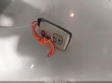 Miniaturka zdjęcia 11