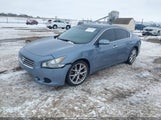 Nissan Maxima 3.5 Sv 1N4AA5AP6AC811379 снимка