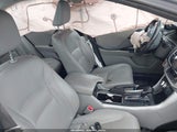 Miniaturka zdjęcia 5