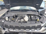 Jeep Compass Trailhawk 4X4 3C4NJDDN2PT522769 снимка