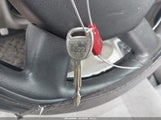 Miniaturka zdjęcia 11