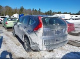 Miniaturka zdjęcia 3