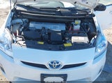 Miniaturka zdjęcia 10