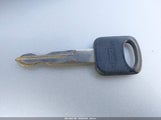 Miniaturka zdjęcia 11