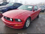 Ford Mustang Gt Deluxe/Gt Premium 1ZVHT82H085197873 photo