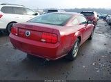 Ford Mustang Gt Deluxe/Gt Premium 1ZVHT82H085197873 photo