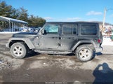 Jeep Wrangler Unlimited Sport S 4X4 1C4HJXDG0KW641603 снимка