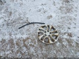 Honda Civic Lx 2HGFG12647H574198 снимка