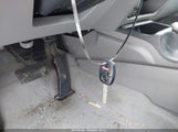 Miniaturka zdjęcia 11
