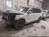 Kia Telluride Sx Prestige X-Line 5XYP5DGC7RG542274 fotografie