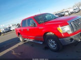 Ford F-150 Fx4/Harley-Davidson/King Ranch/Lariat/Platinum/Xl/Xlt 1FTFW1EV4AFD05342 fotografie