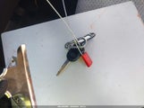 Miniaturka zdjęcia 11