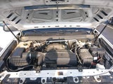 Chevrolet Colorado Wt 1GCHSBEA3G1309640 снимка