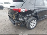 Miniaturka zdjęcia 6