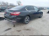 Miniaturka zdjęcia 4
