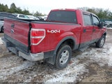 Miniaturka zdjęcia 4