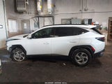 Hyundai Tucson Trend Awd KM8JCCDE1RU333344 photo