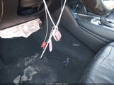 Miniaturka zdjęcia 11