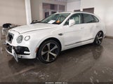 Bentley Bentayga V8 SJAAM2ZV1LC029787 снимка