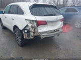 Miniaturka zdjęcia 6