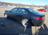 Acura Tsx JH4CL96824C042694 снимка