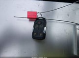 Miniaturka zdjęcia 11