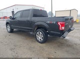 Ford F-150 Xlt 1FTEW1EP1FKF16994 снимка