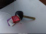 Miniaturka zdjęcia 11