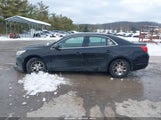 Chevrolet Malibu 1Fl 1G11A5SAXDU140424 снимка