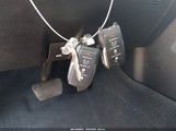 Miniaturka zdjęcia 11