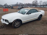 Ford Mustang V6 Deluxe/V6 Premium 1ZVHT84N385144281 photo