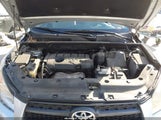Toyota Rav4 JTMBF33V295007743 снимка