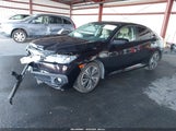 Miniaturka zdjęcia 2